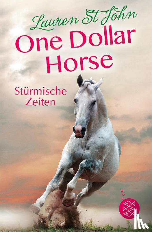 St. John, Lauren - One Dollar Horse, Band 3 - Stürmische Zeiten