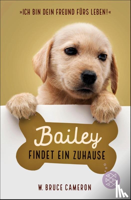 Cameron, W. Bruce - Bailey findet ein Zuhause