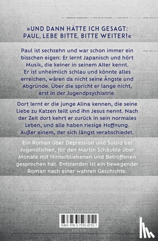 Schäuble, Martin - Alle Farben grau