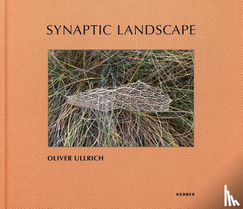  - Synaptic Landscape: Oliver Ullrich