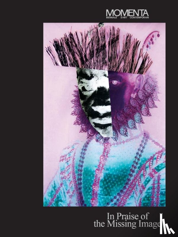  - MOMENTA: In Praise of the Missing Image