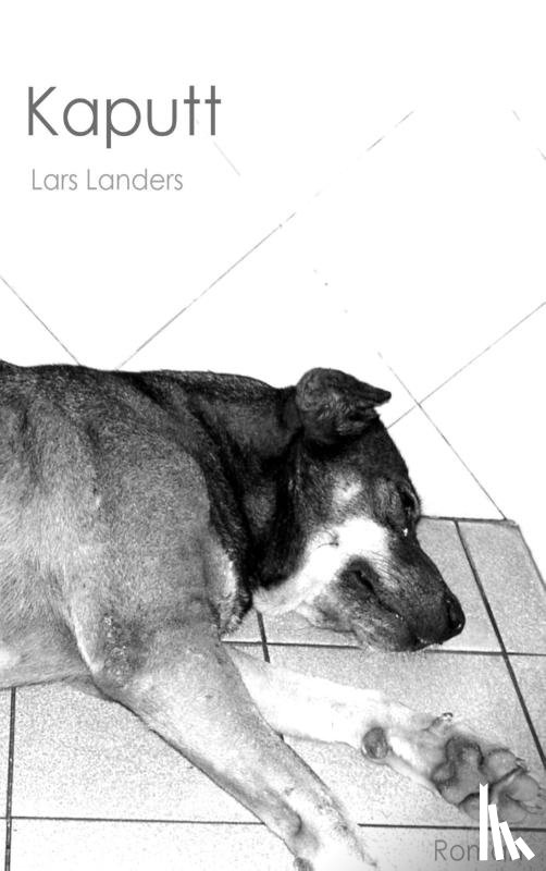Landers, Lars - Kaputt