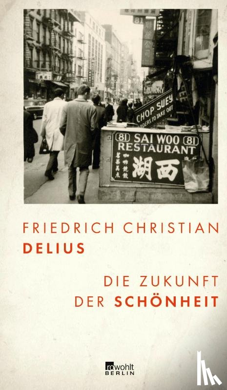 Delius, Friedrich Christian - Die Zukunft der Schönheit