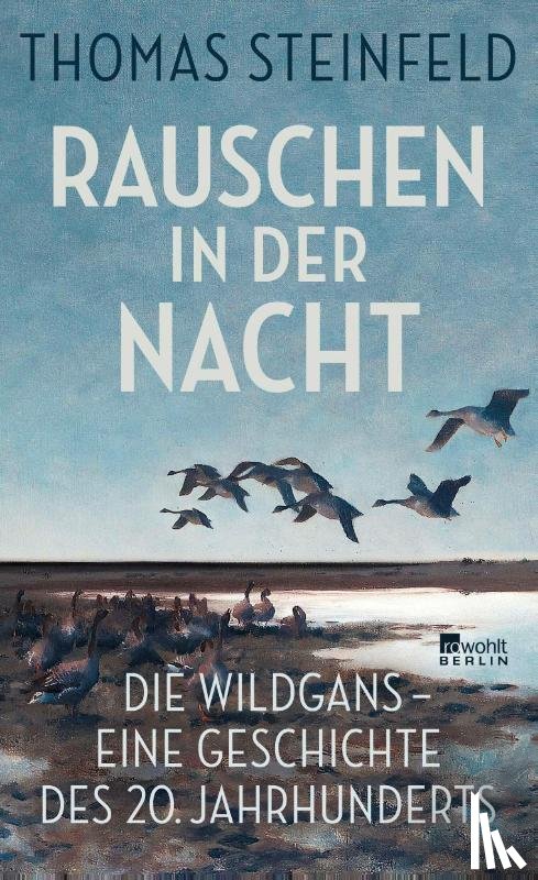 Steinfeld, Thomas - Rauschen in der Nacht
