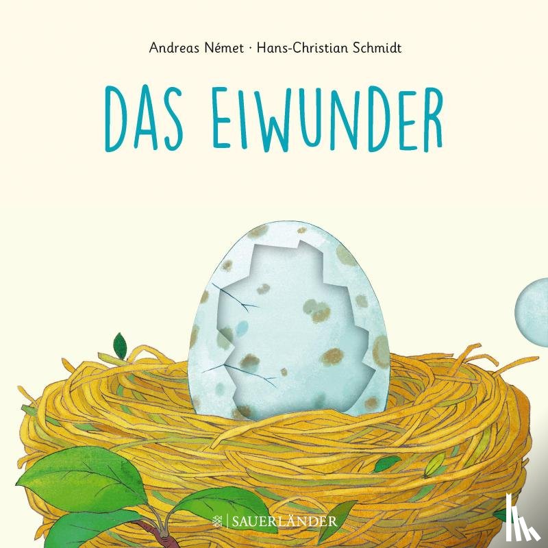 Schmidt, Hans-Christian - Das Eiwunder