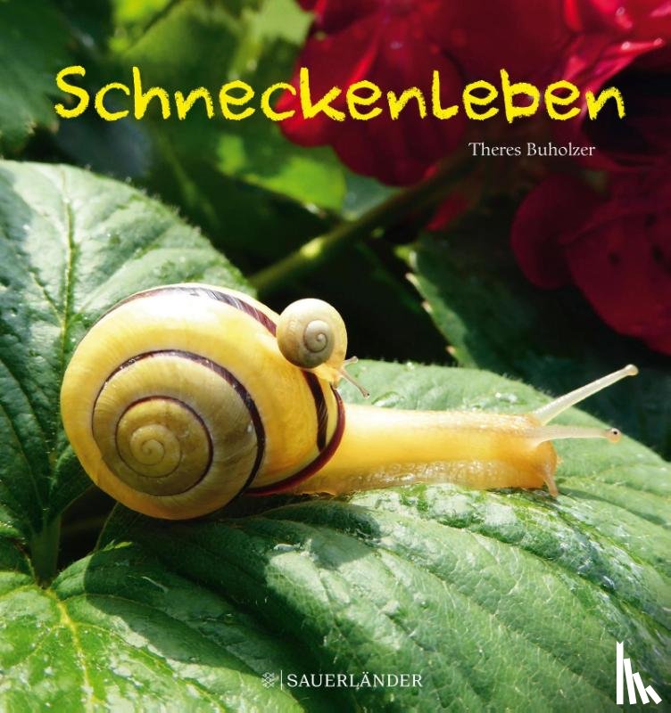 Buholzer, Theres - Schneckenleben
