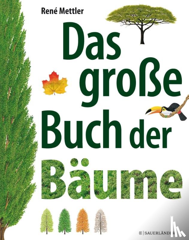 Mettler, René - Das große Buch der Bäume