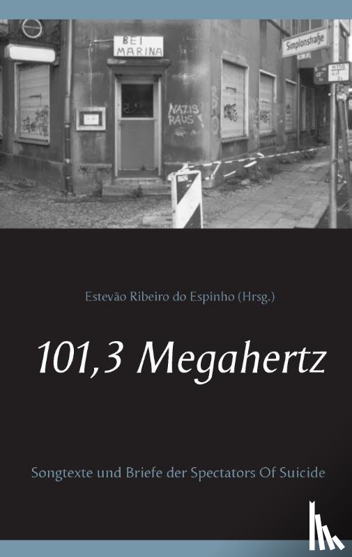  - 101,3 Megahertz