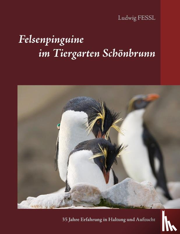 Fessl, Ludwig - Felsenpinguine im Tiergarten Schönbrunn