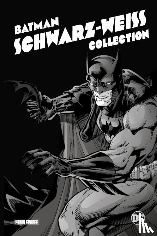 Mckeever, Ted, Lee, Jim, Allred, Michael, Timm, Bruce - Batman: Schwarz-Weiß Collection (Deluxe Edition)