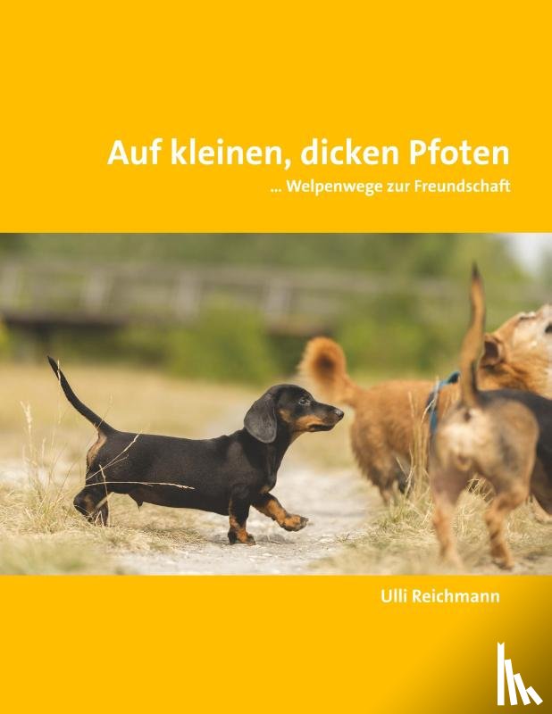 Reichmann, Ulli - Auf kleinen, dicken Pfoten