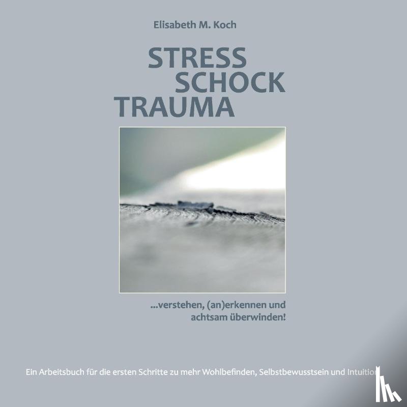 Koch, Elisabeth M - Stress Schock Trauma ... verstehen, (an)erkennen und achtsam uberwinden