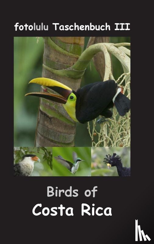 Fotolulu - Birds of Costa Rica
