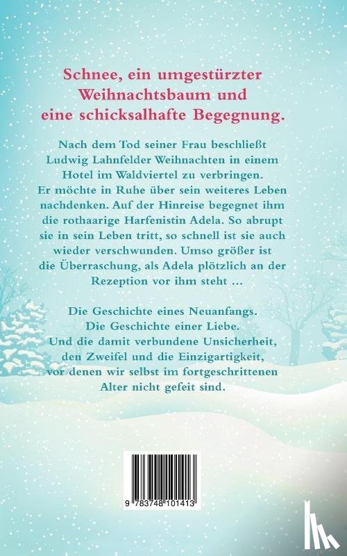 Fabian, Alexander H - Weihnachten im Hotel