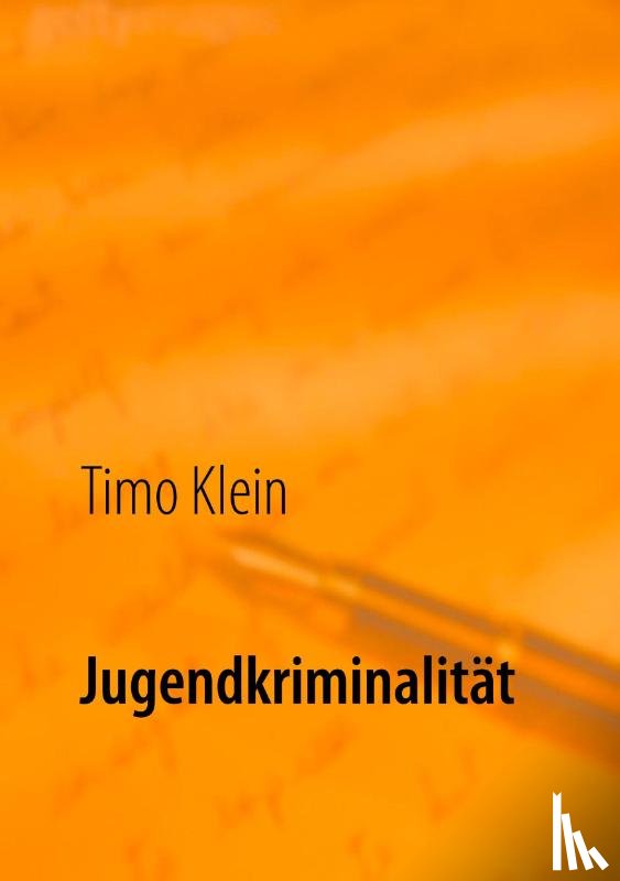 Klein, Timo - Jugendkriminalitat