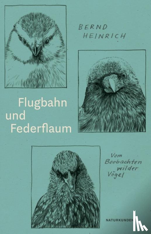 Heinrich, Bernd - Flugbahn und Federflaum