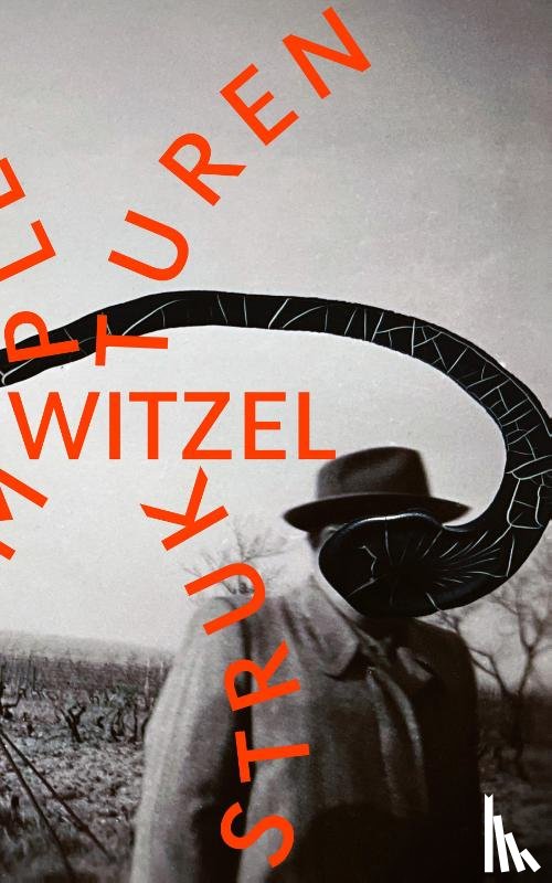 Witzel, Frank - Komplexe Strukturen