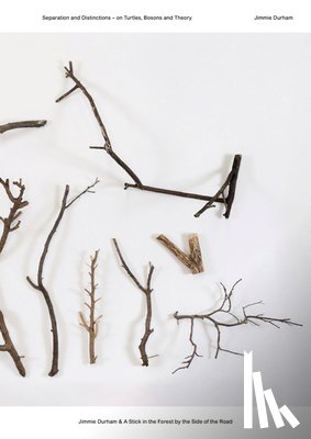  - Jimmie Durham & A Stick in the Forest by the Side of the Road