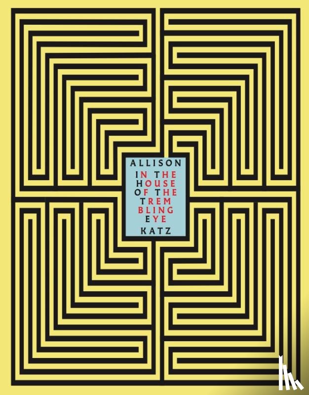  - Allison Katz. In the House of the Trembling Eye