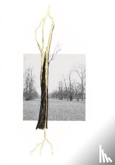  - Giuseppe Penone. Thoughts in the Roots