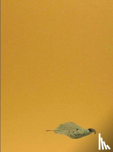  - Yoshihiro Suda. Garden Eden