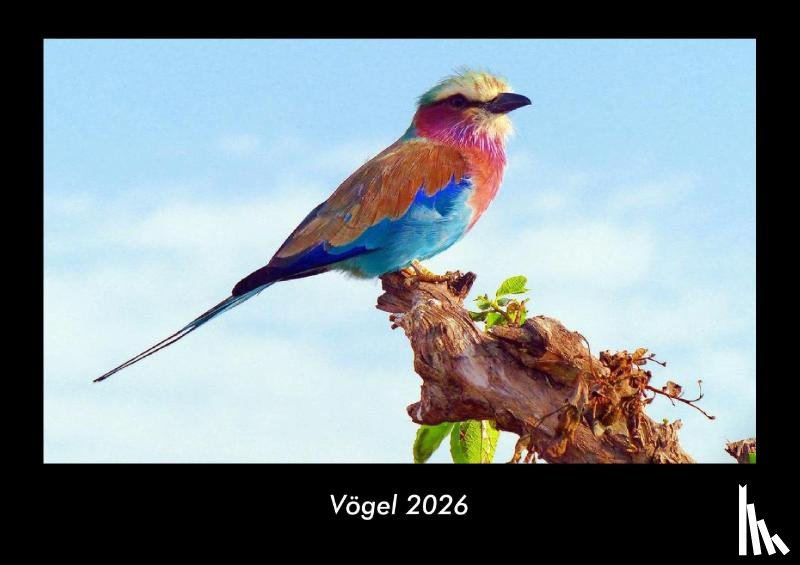 Kevin Heber, Tobias Schmitt - Vögel 2026 Fotokalender DIN A3