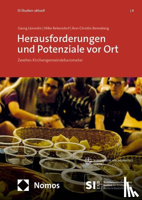 Lämmlin, Georg, Rebenstorf, Hilke, Renneberg, Ann-Christin - Herausforderungen und Potenziale vor Ort