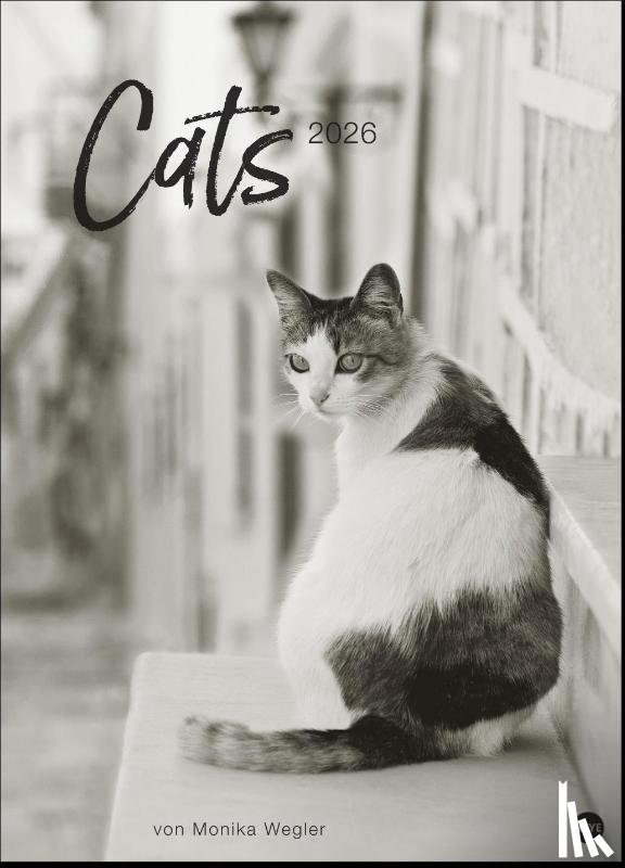  - Cats Edition Kalender 2026
