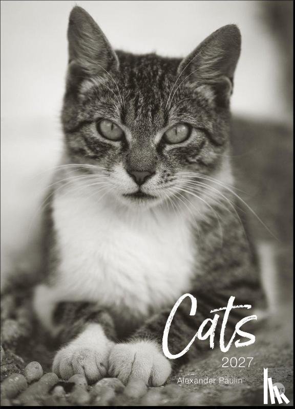  - Cats Edition Kalender 2027