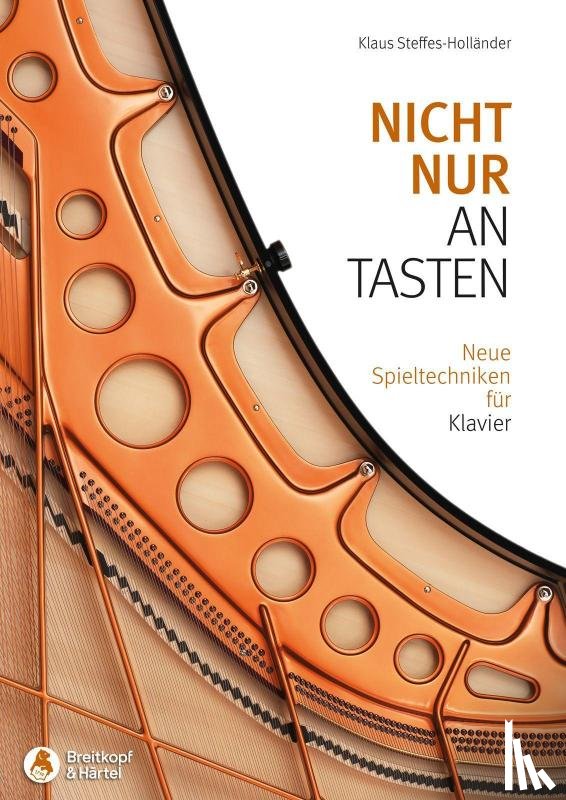 Steffes-Holländer, Klaus - Nicht nur an Tasten