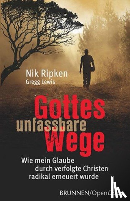 Ripken, Nik, Lewis, Gregg - Gottes unfassbare Wege