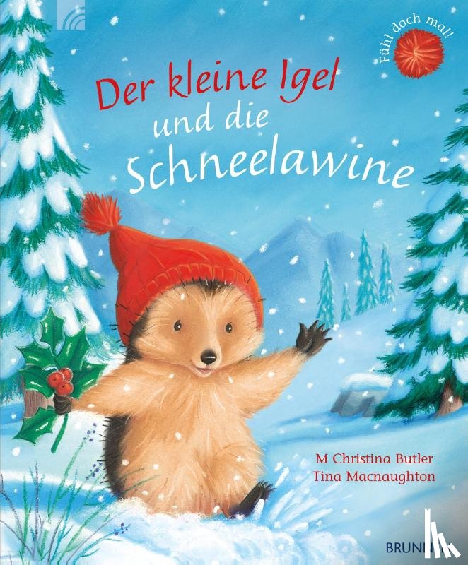 Butler, M Christina - Der kleine Igel und die Schneelawine