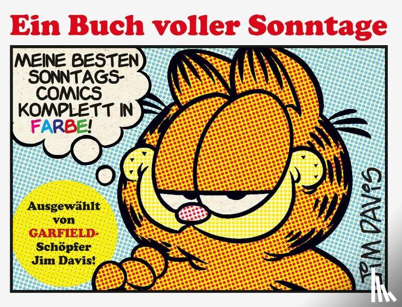 Davis, Jim - Garfield - Ein Buch voller Sonntage