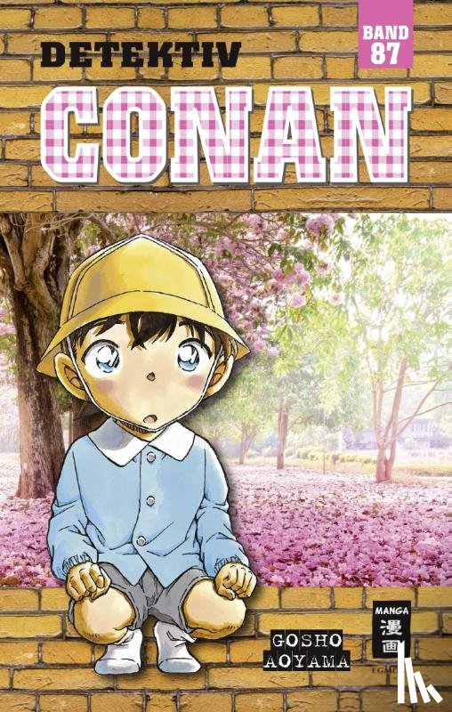 Aoyama, Gosho - Detektiv Conan 87