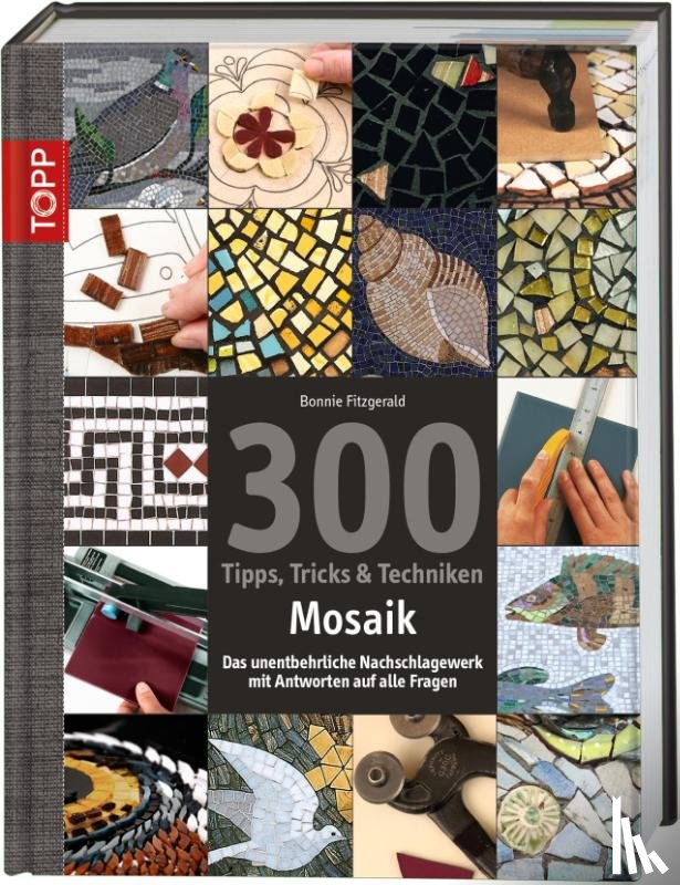 Fitzgerald, Bonnie - 300 Tipps, Tricks & Techniken Mosaik