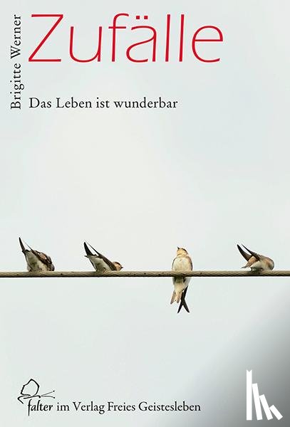 Werner, Brigitte - Zufälle