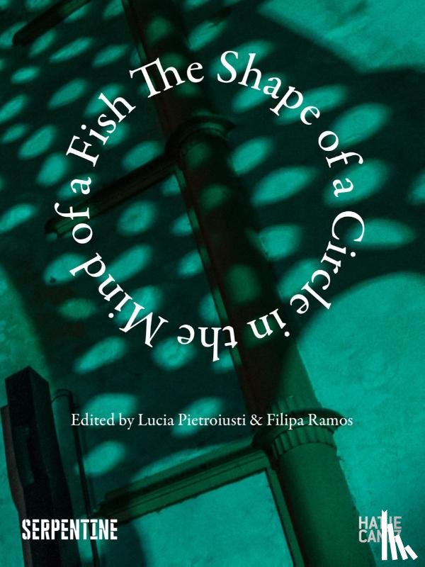 Gabriel, Peter - The Shape of a Circle in the Mind of a Fish