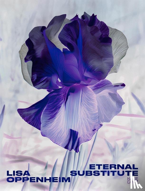 Cornell, Lauren, Alexander, Darsie, Proctor, Jacob - Lisa Oppenheim