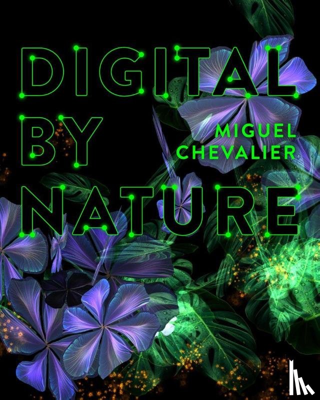  - Miguel Chevalier
