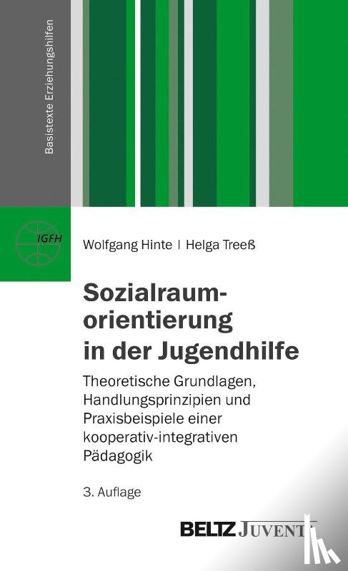 Hinte, Wolfgang, Treeß, Helga - Sozialraumorientierung in der Jugendhilfe