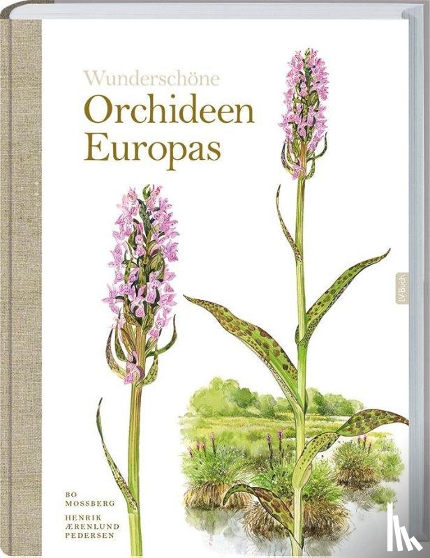 Mossberg, Bo, Pedersen, Henrik - Wunderschöne Orchideen Europas