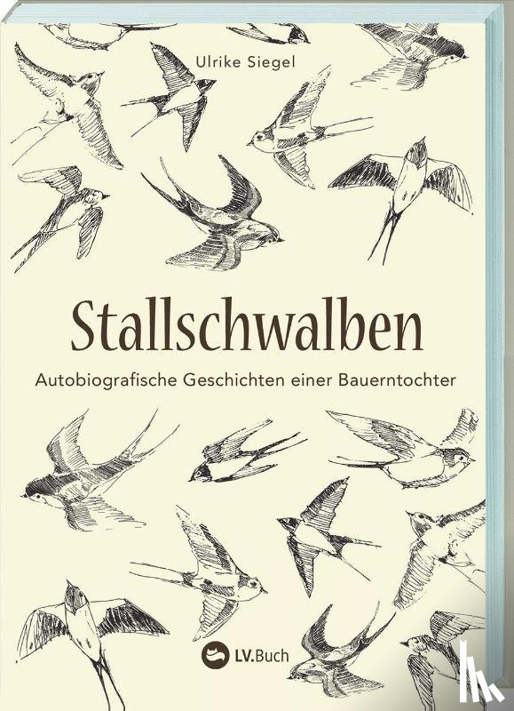Siegel, Ulrike - Stallschwalben