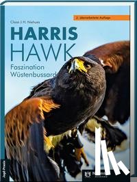 Niehues, Claas - Harris Hawk