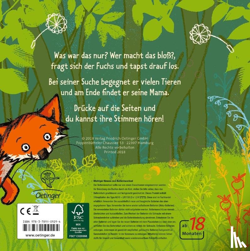 Zur Brügge, Anne-Kristin - Der kleine Fuchs hört einen Mucks