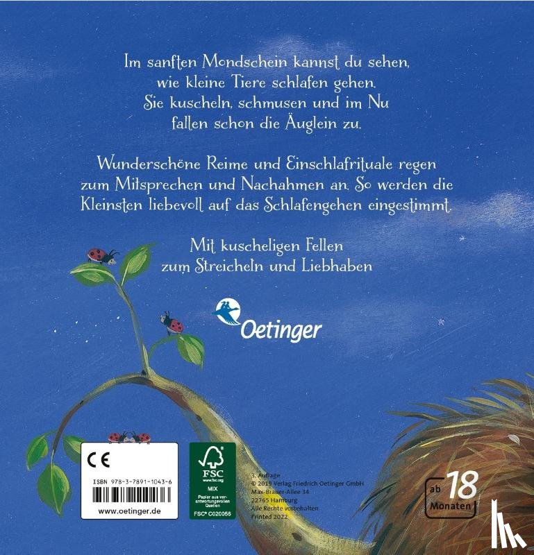 Zur Brügge, Anne-Kristin - Wie kleine Tiere schlafen gehen