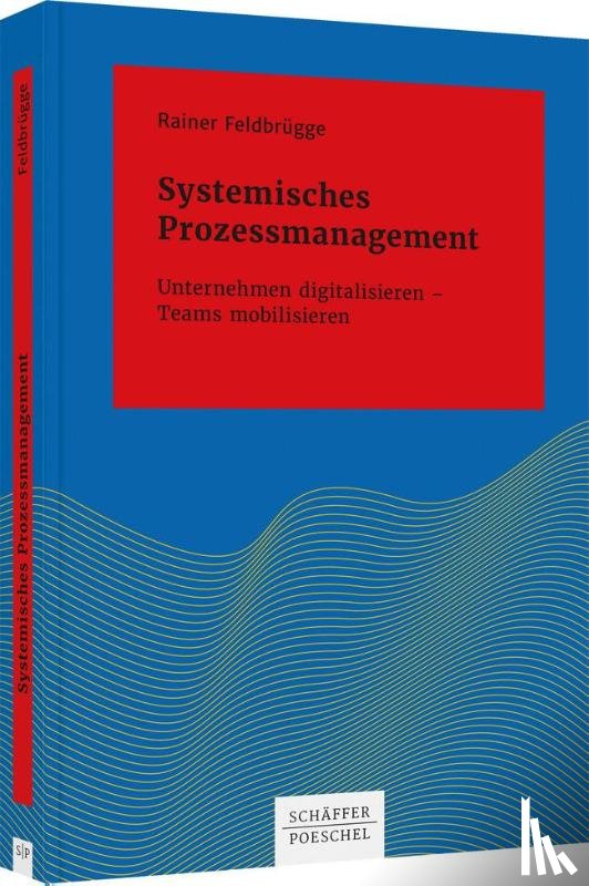 Feldbrügge, Rainer - Systemisches Prozessmanagement