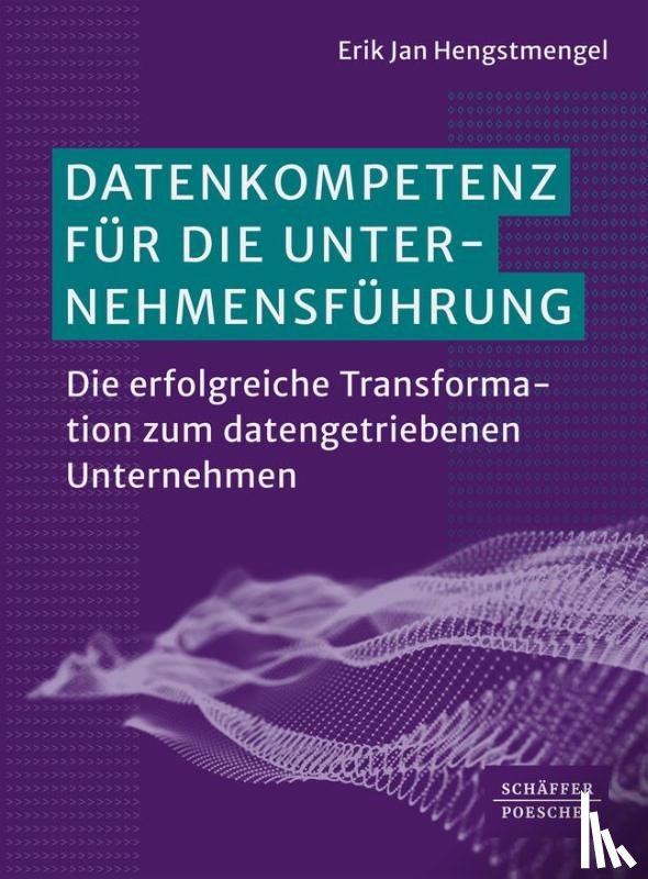 Hengstmengel, Erik Jan - Datenkompetenz für die Unternehmensführung