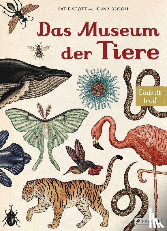 Broom, Jenny - Das Museum der Tiere