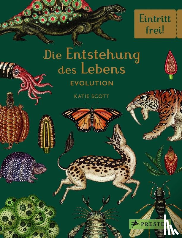 Munro, Fiona, Symons, Ruth - Die Entstehung des Lebens. Evolution