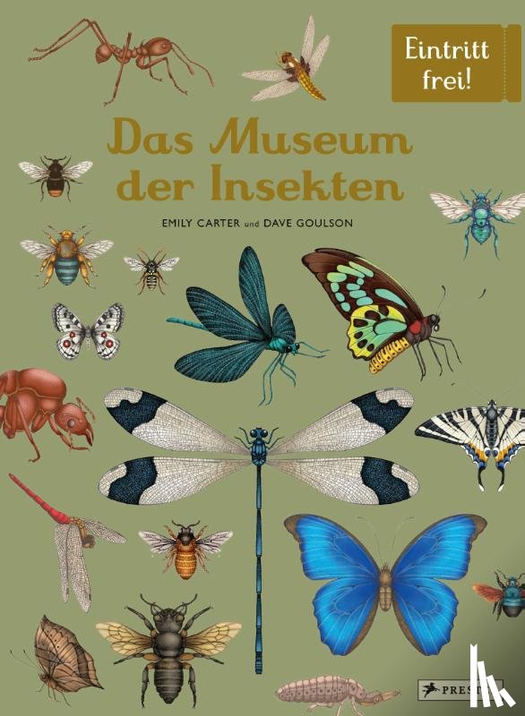 Goulson, Dave, Carter, Emily - Das Museum der Insekten